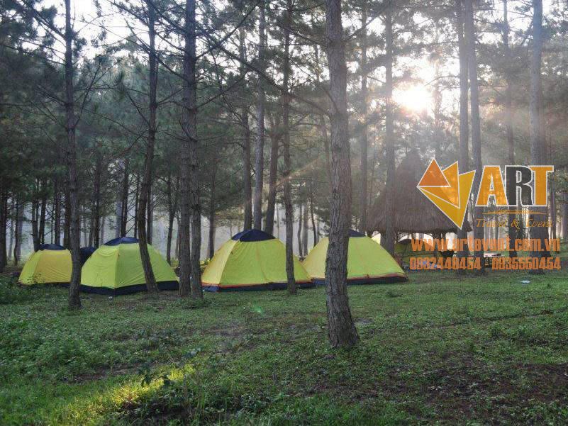 Du lịch Camping trong rừng